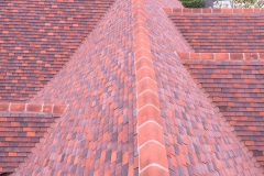 Roof photograph DJ Scrivens
